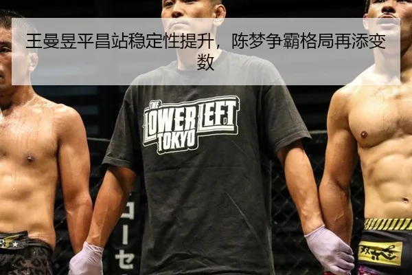 wang-man-yu-ping-chang-zhan-wen-ding-xing-ti-sheng-chen-meng-zheng-ba-ge-ju-zai-tian-bian-shu-2-761.jpg