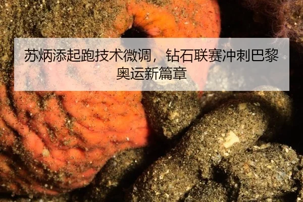 su-bing-tian-qi-pao-ji-shu-wei-diao-zuan-shi-lian-sai-chong-ci-ba-li-ao-yun-xin-pian-zhang-2-646.jpg